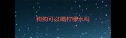 狗狗可以喝柠檬水吗