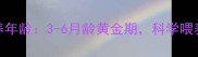 泰迪幼犬最佳饲养年龄3-6月龄黄金期科学喂养指南与注意事项