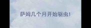 萨姆几个月开始驱虫