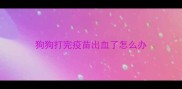 狗狗打完疫苗出血了怎么办