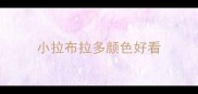 小拉布拉多颜色好看