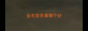 金毛营养膏哪个好