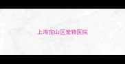 上海宝山区宠物医院