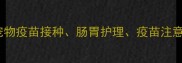 核心狗狗消化不良宠物疫苗接种肠胃护理疫苗注意事项宠物健康指南