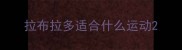 拉布拉多适合什么运动