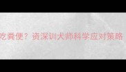哈士奇为何频繁吃粪便资深训犬师科学应对策略附训练图解
