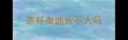 茶杯泰迪长不大吗