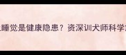 狗狗肚皮朝上睡觉是健康隐患资深训犬师科学解读与护理指南