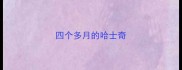 四个多月的哈士奇