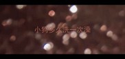 小狗多久洗一次澡