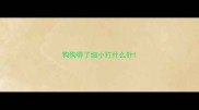 狗狗得了细小打什么针