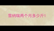 雪纳瑞两个月多少斤