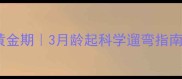 边牧犬幼犬遛狗黄金期3月龄起科学遛弯指南新手避坑全攻略