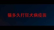 猫多久打狂犬病疫苗