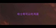 哈士奇可以吃鸡蛋