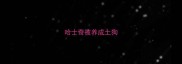 哈士奇被养成土狗
