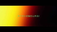 半个月小奶猫怎么养活