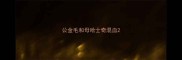 公金毛和母哈士奇混血
