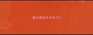 哈士奇多久不长个