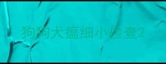 狗狗犬瘟细小检查