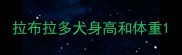 拉布拉多犬身高和体重