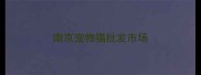 南京宠物猫批发市场