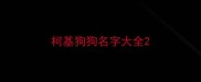 柯基狗狗名字大全