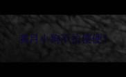 满月小狗不拉便便