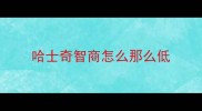 哈士奇智商怎么那么低