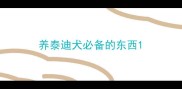 养泰迪犬必备的东西