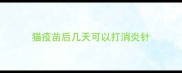 猫疫苗后几天可以打消炎针