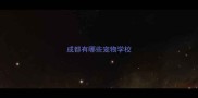 成都有哪些宠物学校