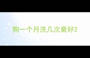 狗一个月洗几次最好