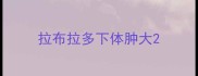 拉布拉多下体肿大