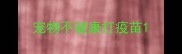 宠物不健康打疫苗