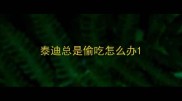 泰迪总是偷吃怎么办