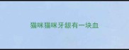 猫咪猫咪牙龈有一块血