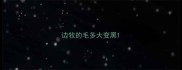 边牧的毛多大变黑