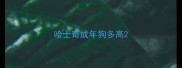 哈士奇成年狗多高