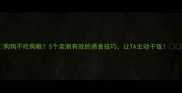狗狗不吃狗粮5个亲测有效的诱食技巧让TA主动干饭