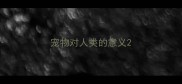 宠物对人类的意义