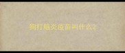 狗打脑炎疫苗叫什么