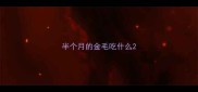 半个月的金毛吃什么