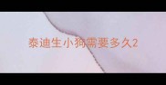 泰迪生小狗需要多久