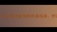 宠物主人必看5步正确测量狗狗体温指南附家庭护理全攻略