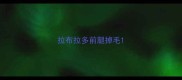 拉布拉多前腿掉毛