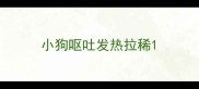 小狗呕吐发热拉稀