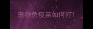 宠物兔疫苗如何打