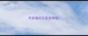 养家猫好还是宠物猫