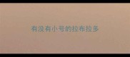有没有小号的拉布拉多